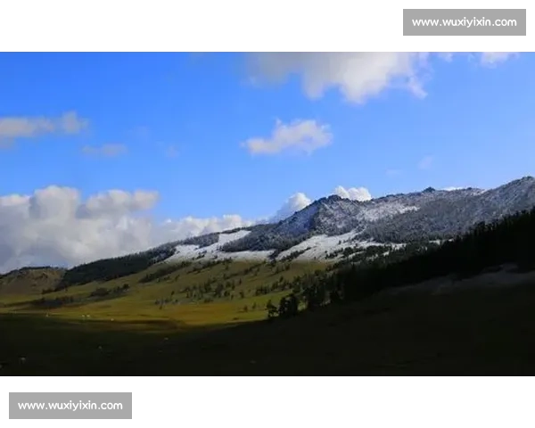 后程惊雷!五雪峰 1200 米草地逆转大海女神夺人马锦标 后程惊雷!五雪峰 1200 米草地逆转大海女神夺人马锦标